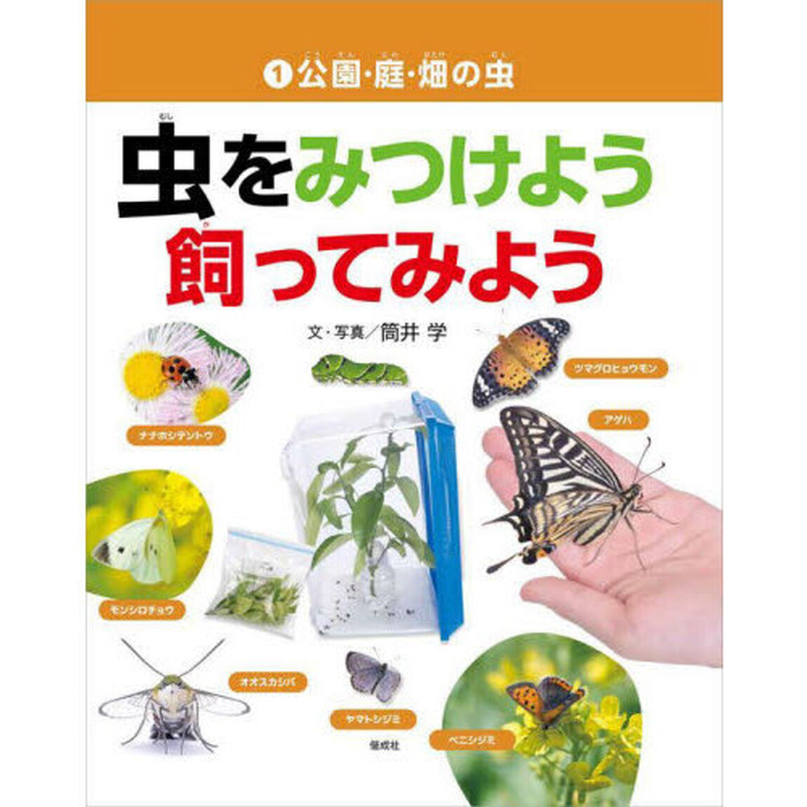 虫をみつけよう飼ってみよう　１「公園・庭・畑の虫」