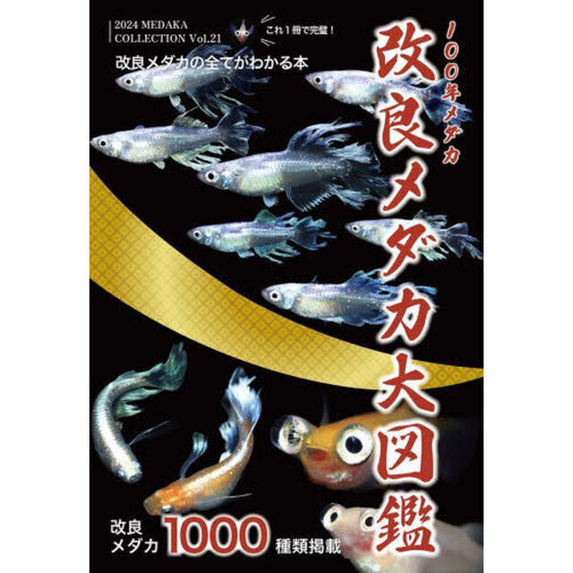 改良メダカ大図鑑　１００年メダカ　Ｖｏｌ．２１（２０２４）