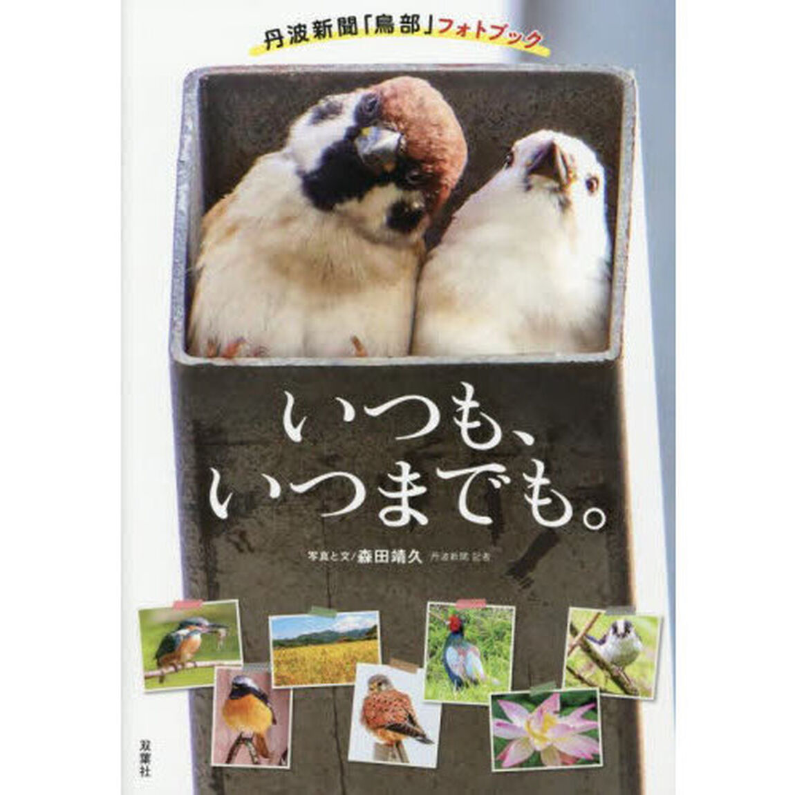いつも、いつまでも。　丹波新聞「鳥部」フォトブック