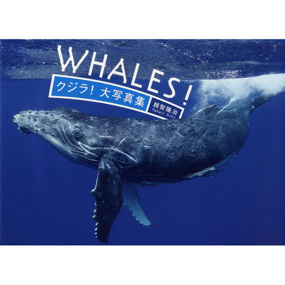 WHALES！　クジラ！大写真集
