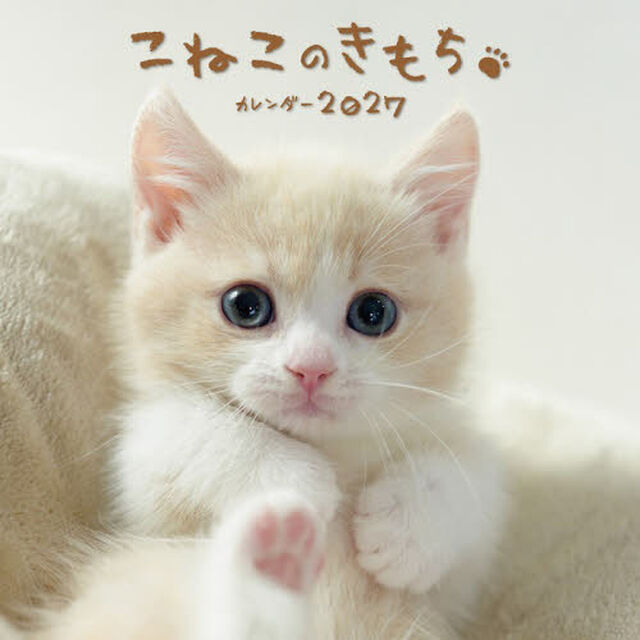 &rsquo;２７　こねこのきもちカレンダー