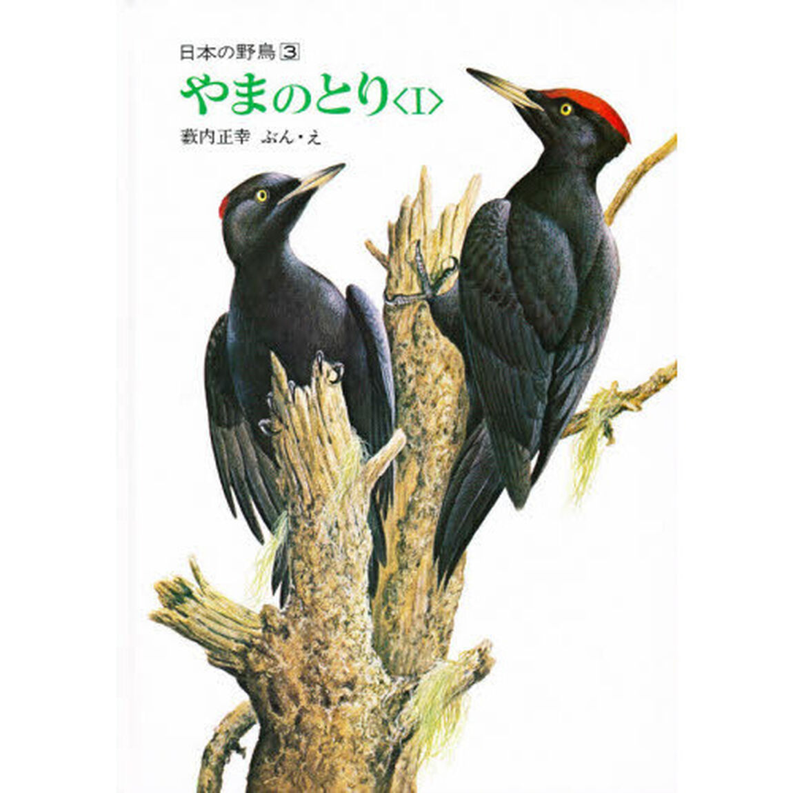 やまのとり　１