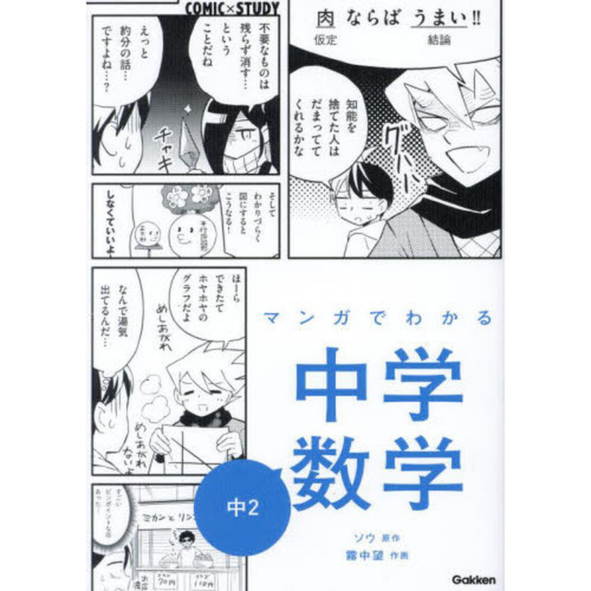 マンガでわかる中学数学中２