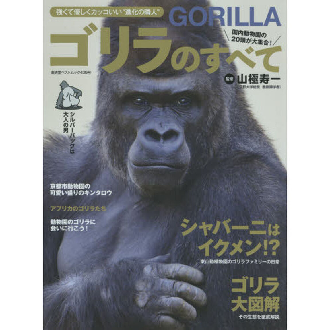 ゴリラのすべて　強くて優しくカッコいい&ldquo;進化の隣人&rdquo;　シャバーニはイクメン！？ゴリラ大図解！