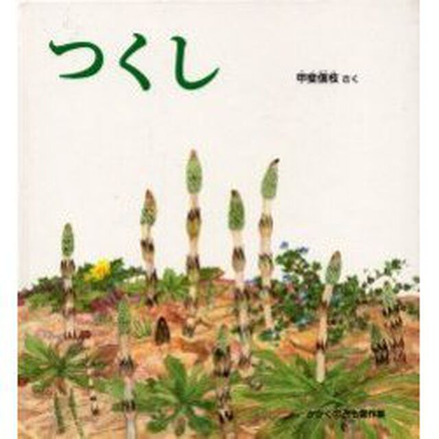 つくし