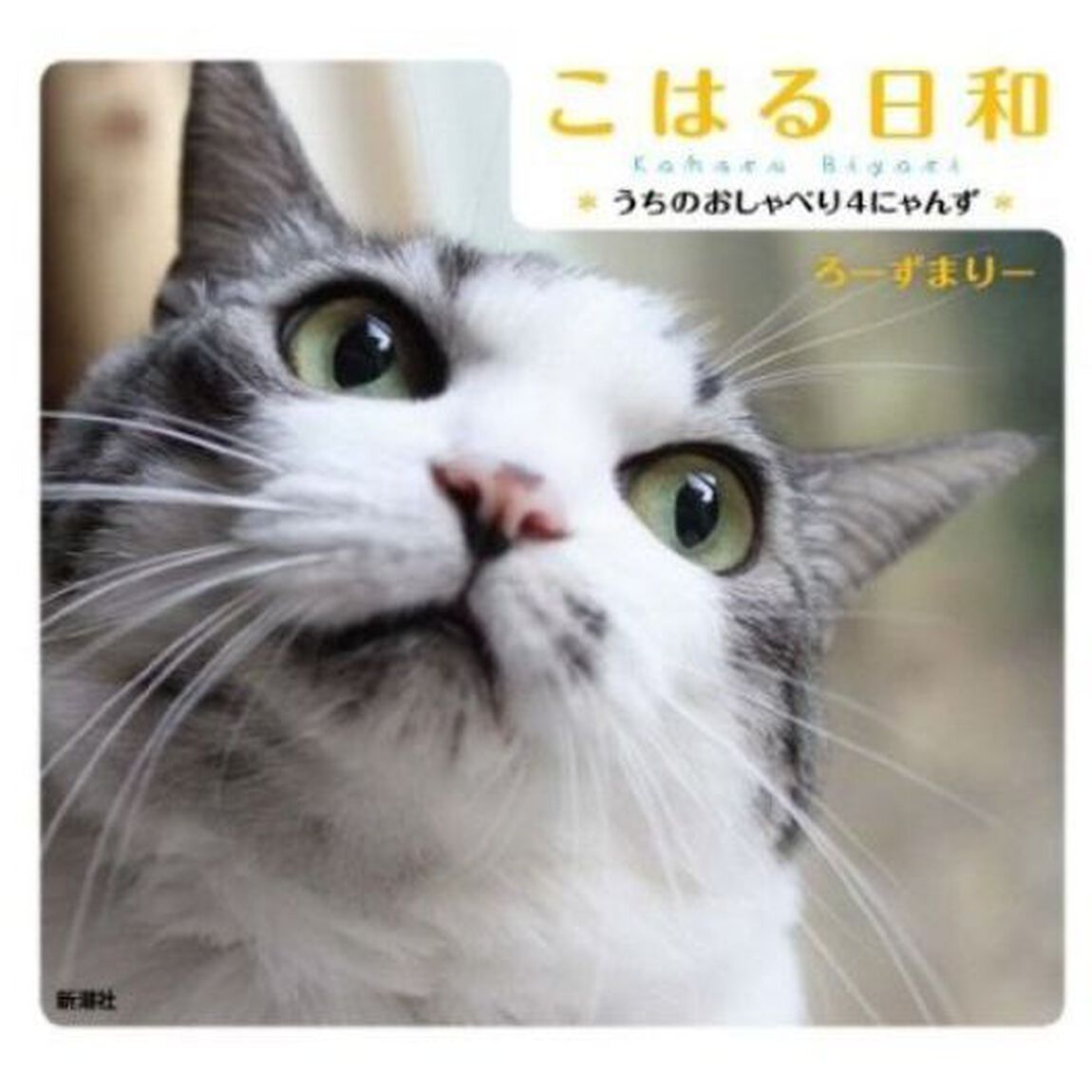 こはる日和: うちのおしゃべり4にゃんず