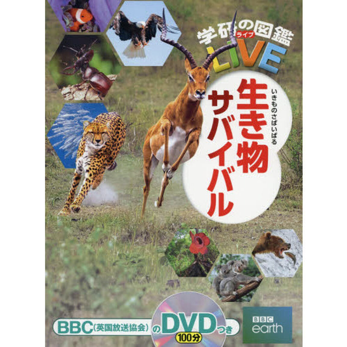生き物サバイバル