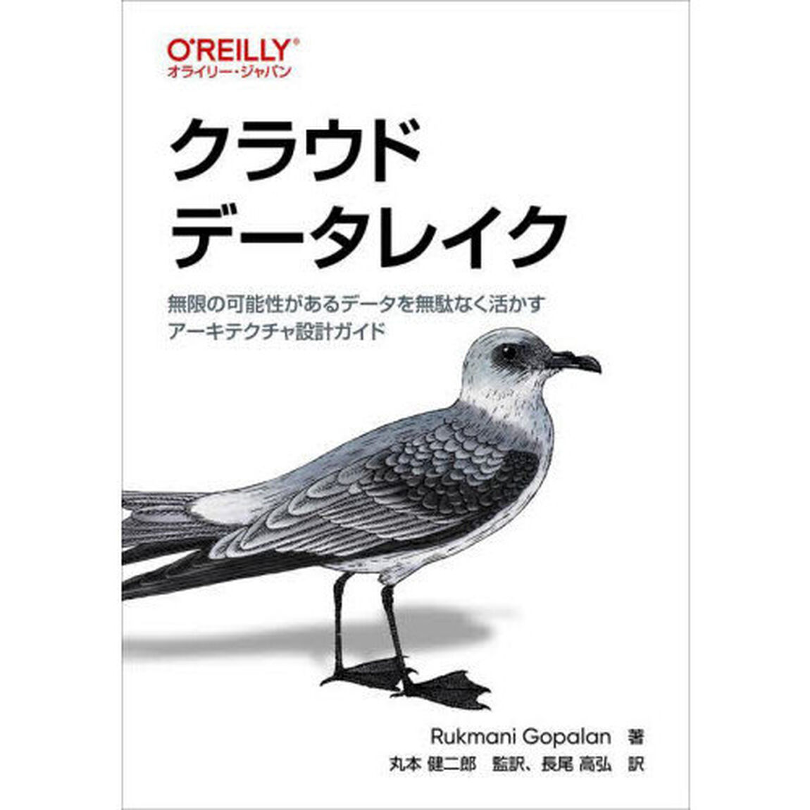 クラウドデータレイク　無限の可能性があるデータを無駄なく活かすアーキテクチャ設計ガイド