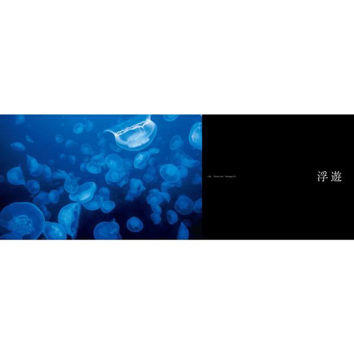 世界で一番美しい海のいきもの図鑑