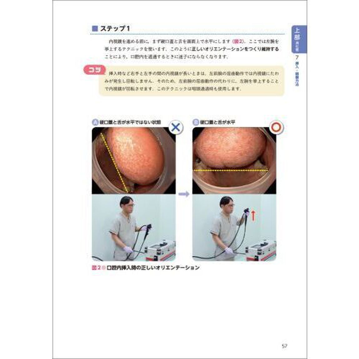 最速で身につける！消化器内視鏡の基本テクニック　とことんシンプルな解説とビジュアルでわかる操作の基本