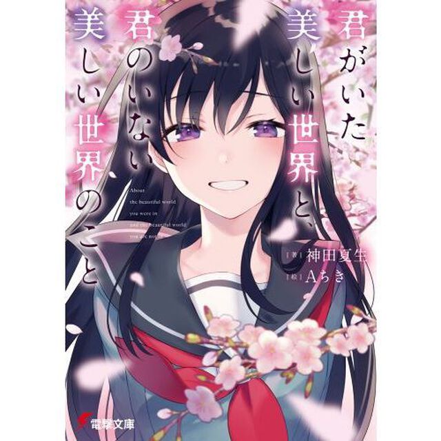 君がいた美しい世界と、君のいない美しい世界のこと