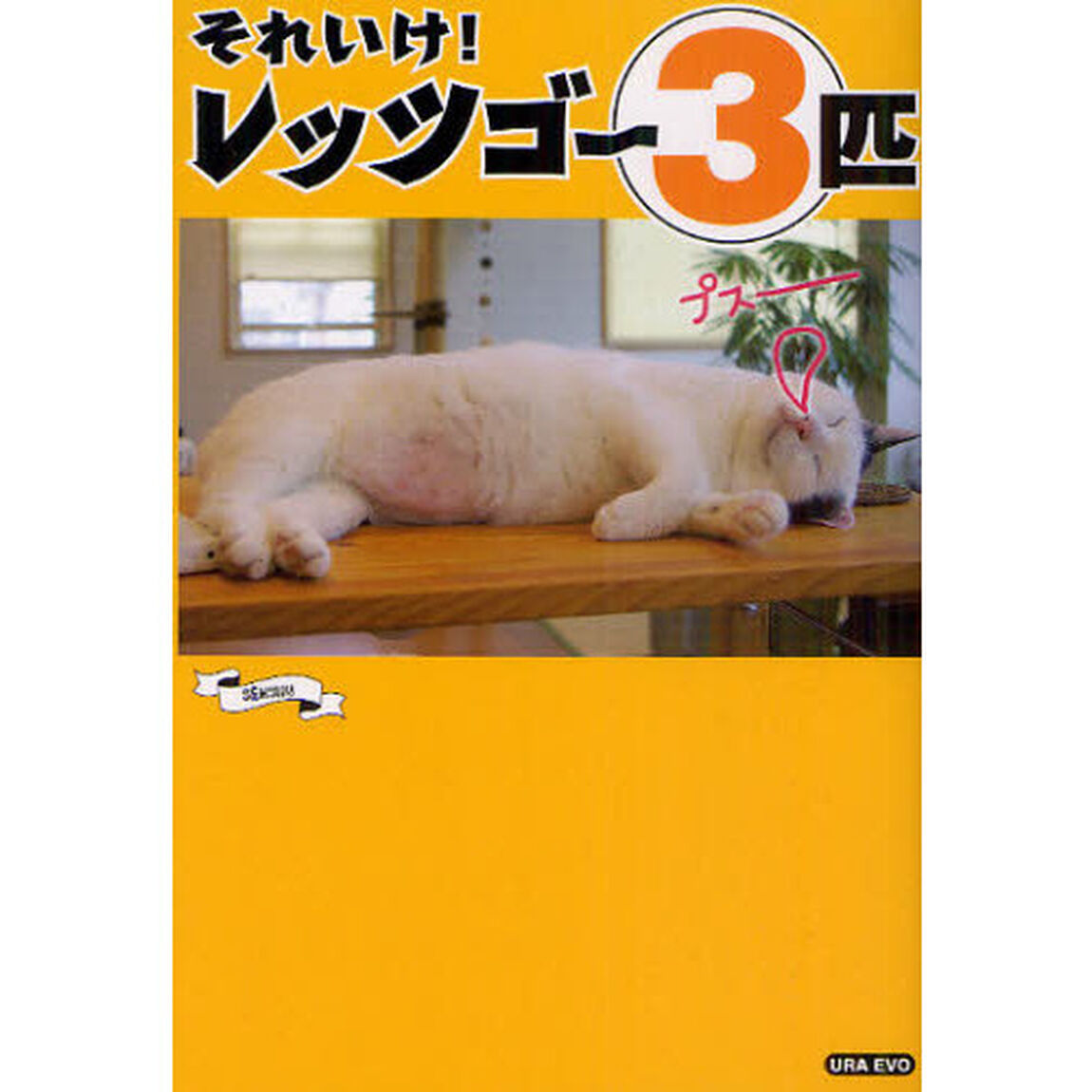それいけ！レッツゴー３匹　実写ねこマンガ！