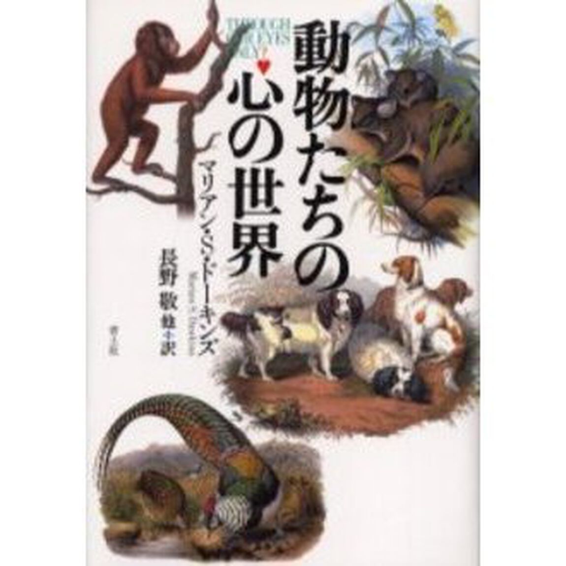 動物たちの心の世界　新装版