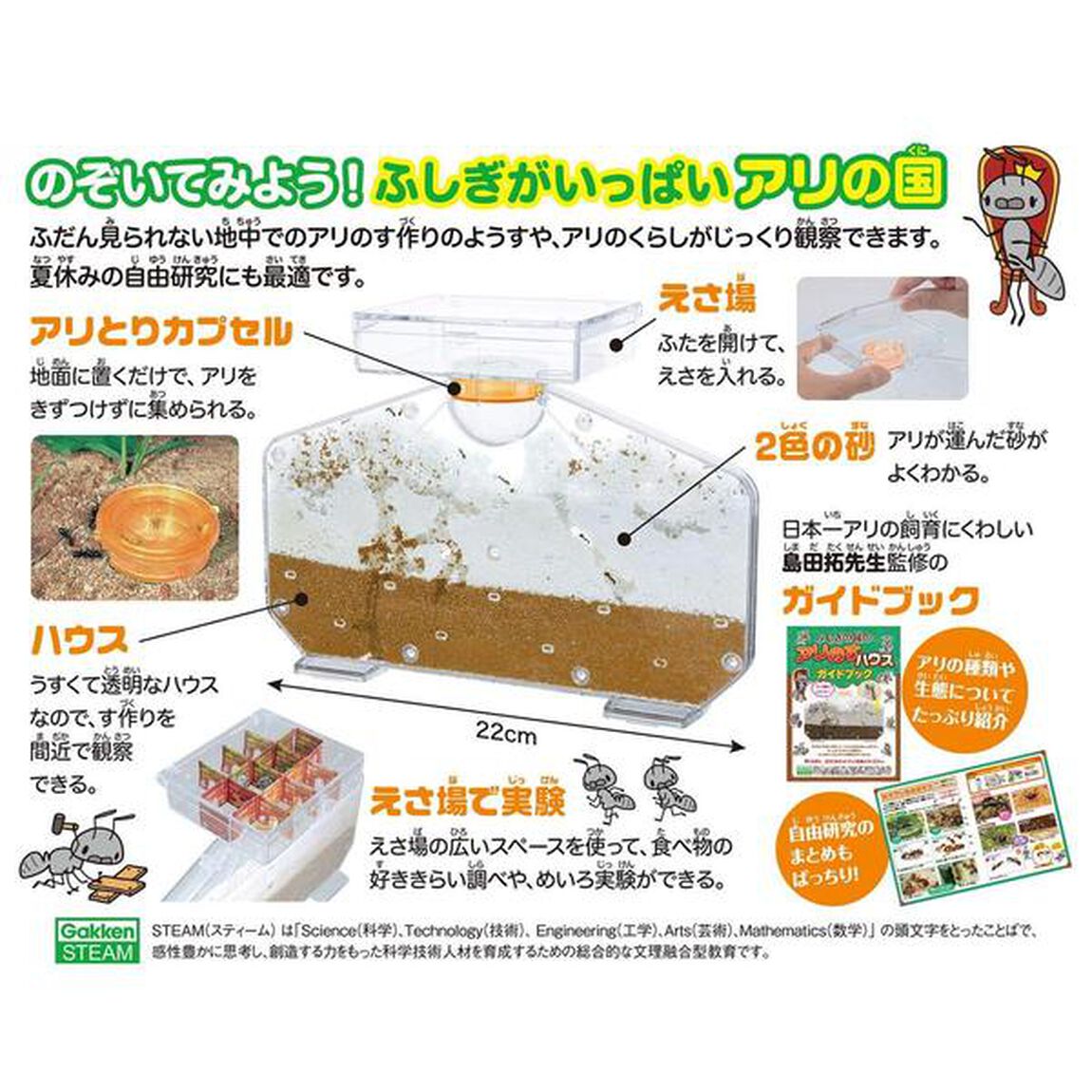 ふしぎの国のアリのすハウス