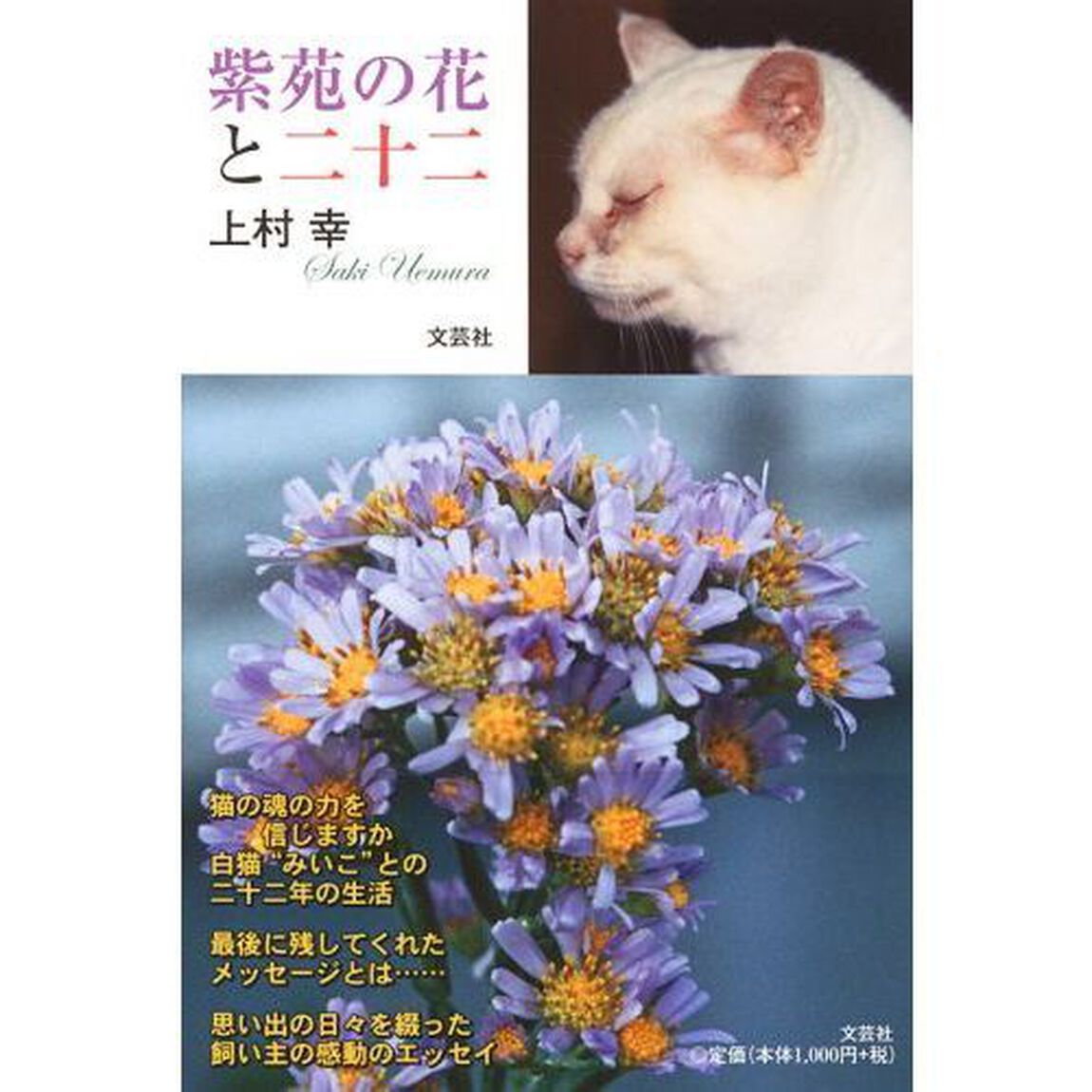 紫苑の花と二十二