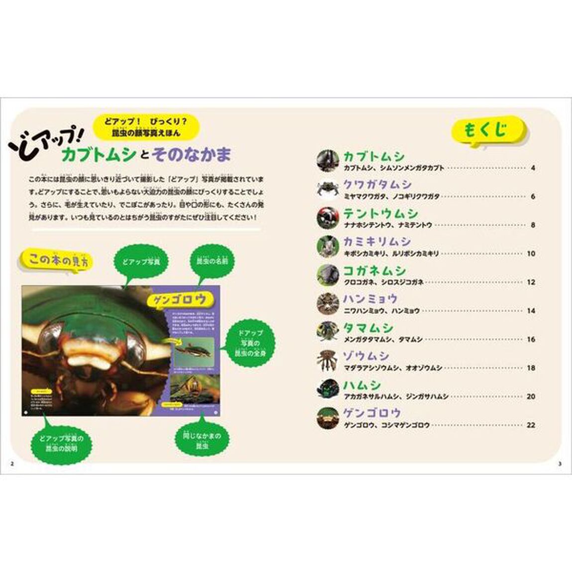 どアップ！びっくり？昆虫の顔写真えほん　〔１〕「どアップ！カブトムシとそのなかま」