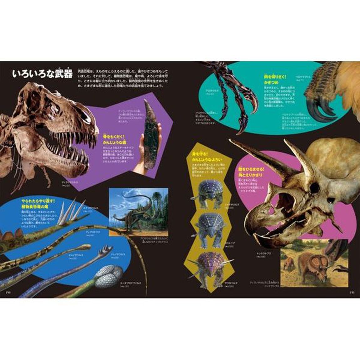 小学館の図鑑NEO〔新版〕　恐竜　DVDつき「新版」