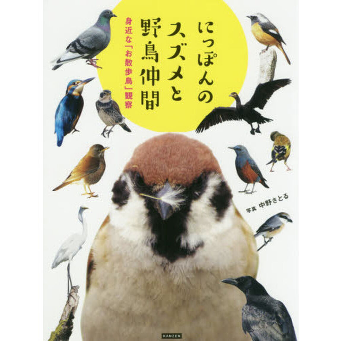 にっぽんのスズメと野鳥仲間　身近な「お散歩鳥」観察