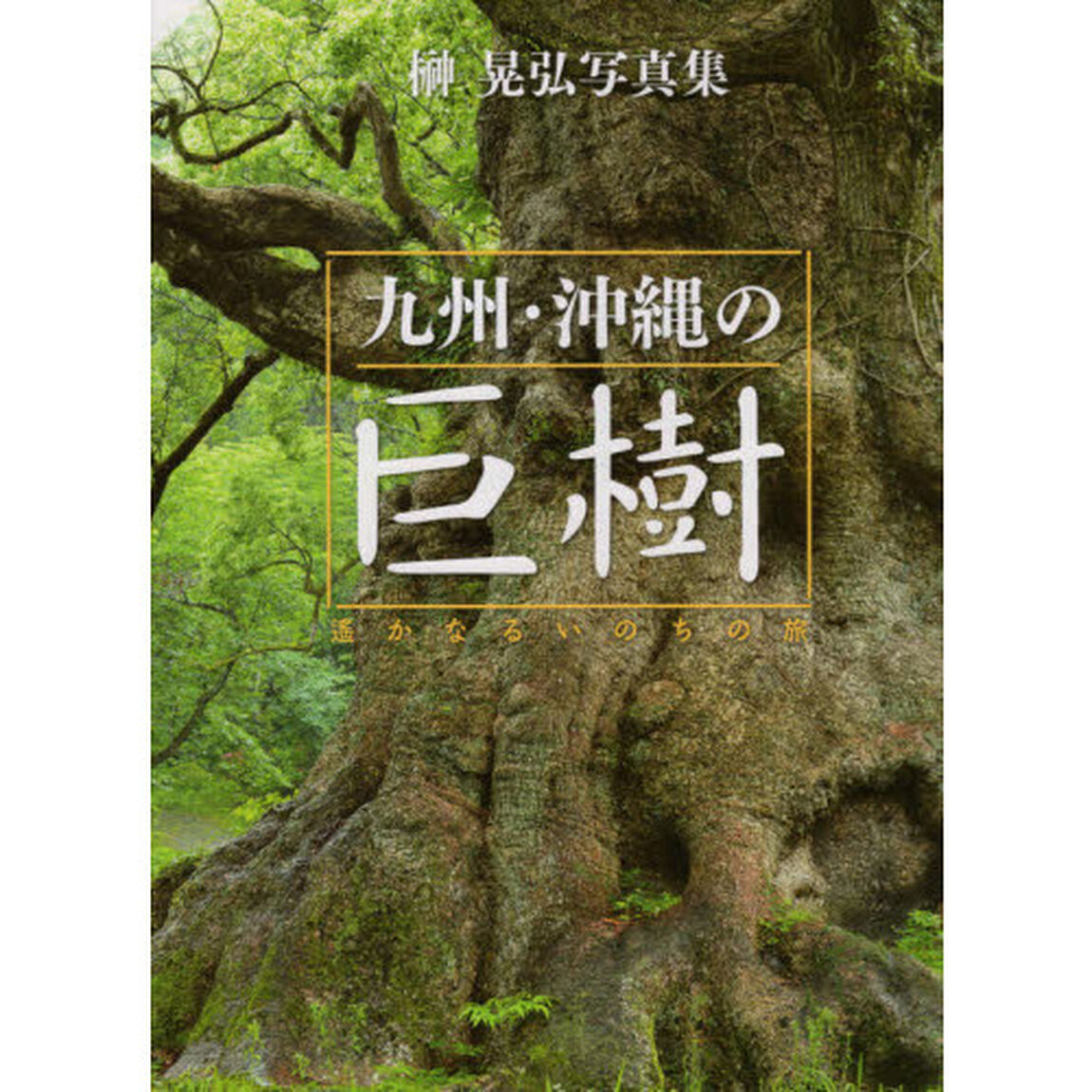 九州・沖縄の巨樹　遙かなるいのちの旅　榊晃弘写真集