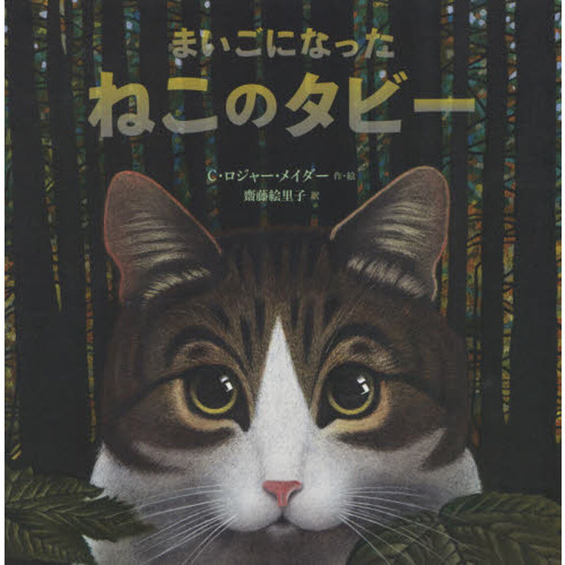 まいごになったねこのタビー