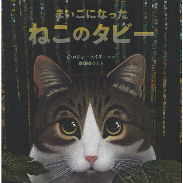 まいごになったねこのタビー