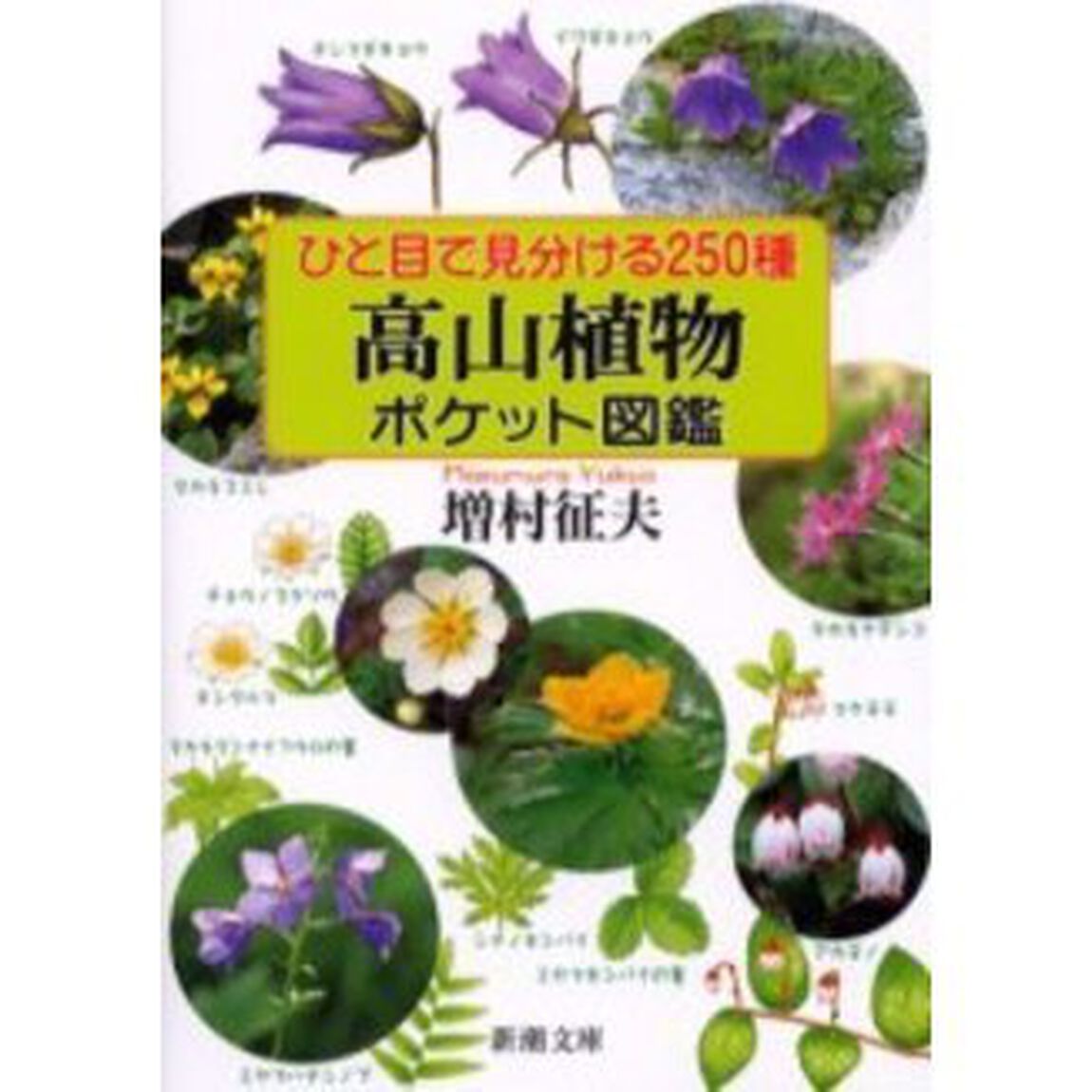 ひと目で見分ける２５０種高山植物ポケット図鑑
