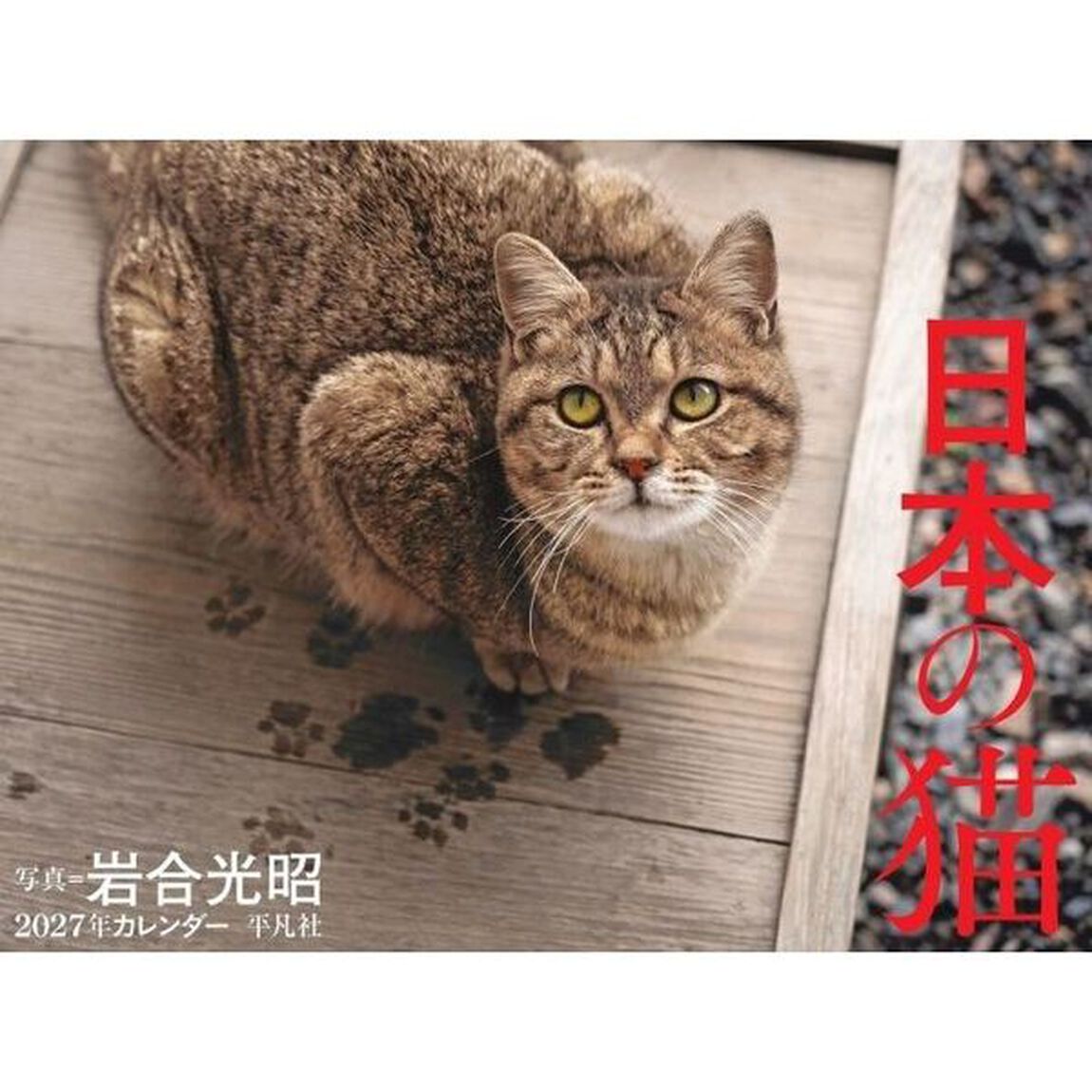 2027年カレンダー 日本の猫