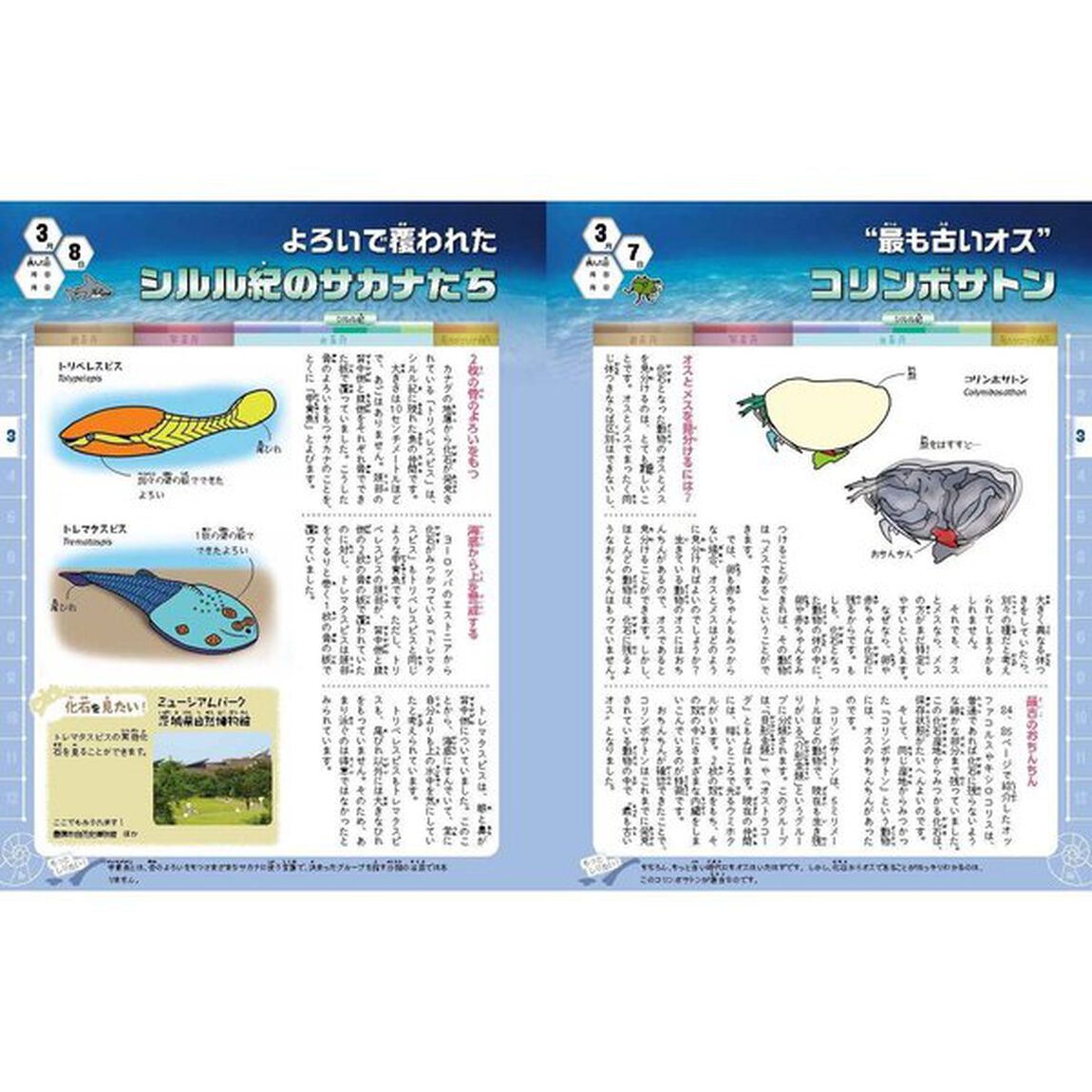しんかのお話３６５日　理系に育てる基礎のキソ　頭をよくする読み聞かせ