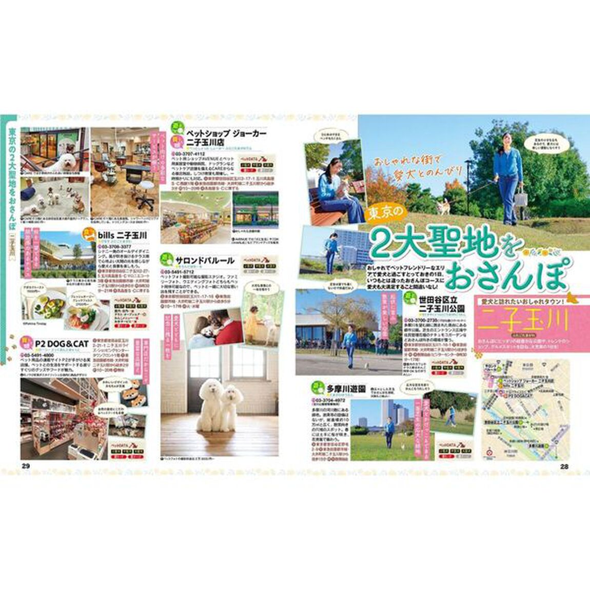 るるぶペットとおでかけ首都圏発'27