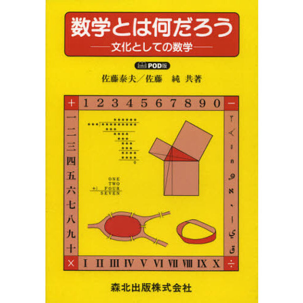 数学とは何だろう　文化としての数学　ＰＯＤ版