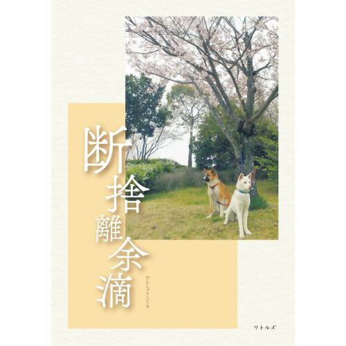 断捨離余滴