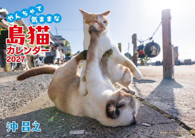 &rsquo;２７　やんちゃで気ままな島猫カレンダー