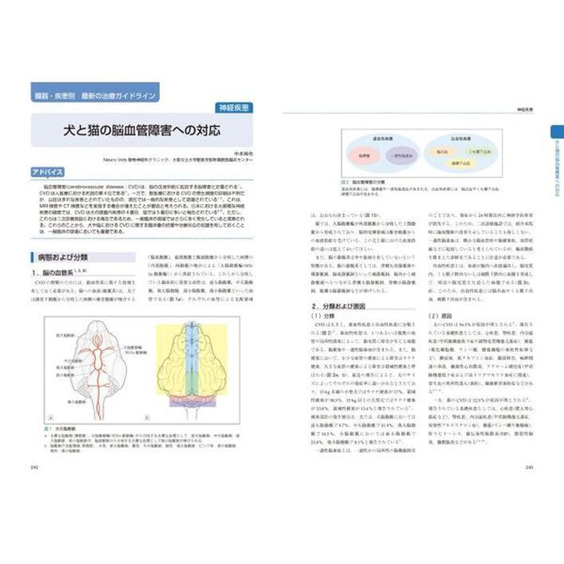 新伴侶動物治療指針　３「リンパ腫の診断・治療法と臓器・疾患別最新の治療ガイドライン」