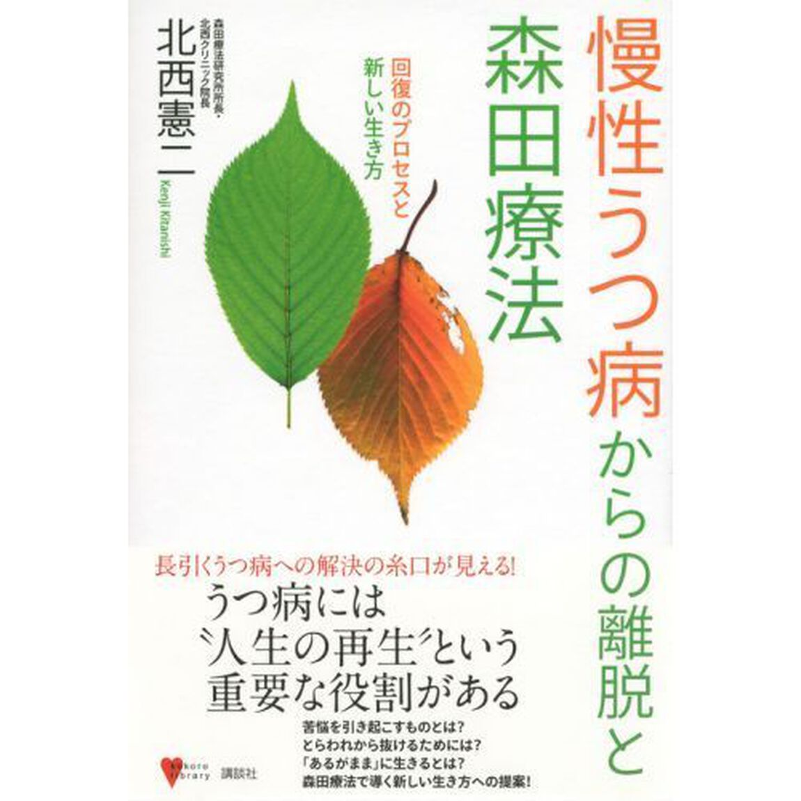 慢性うつ病からの離脱と森田療法　回復のプロセスと新しい生き方