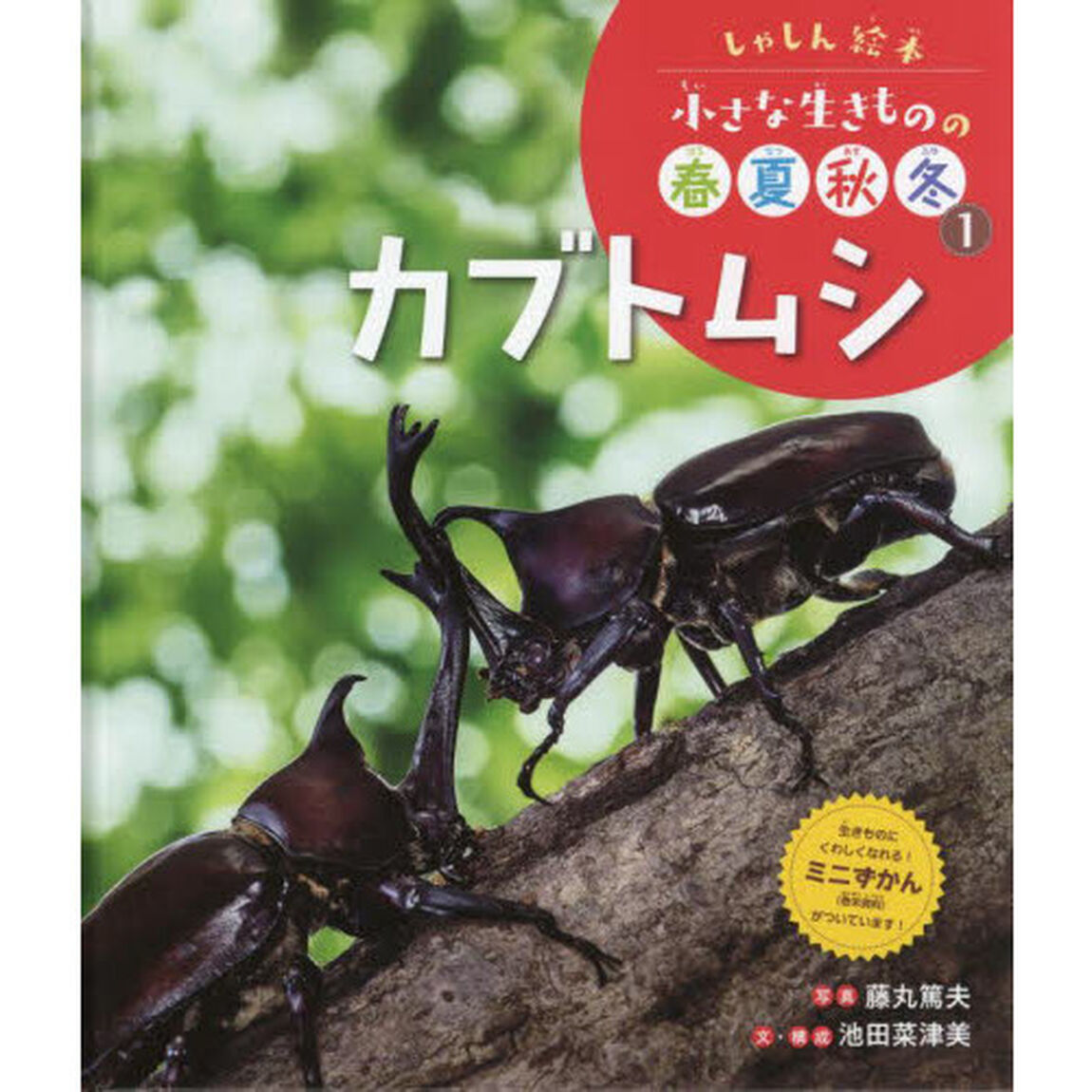 小さな生きものの春夏秋冬　しゃしん絵本　１「カブトムシ」