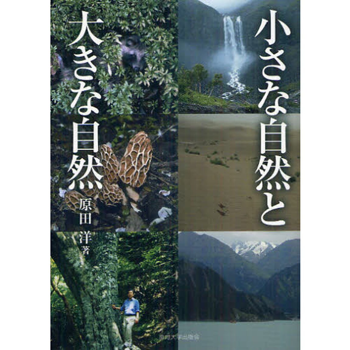 小さな自然と大きな自然
