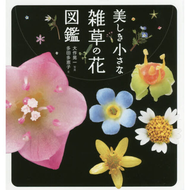 美しき小さな雑草の花図鑑