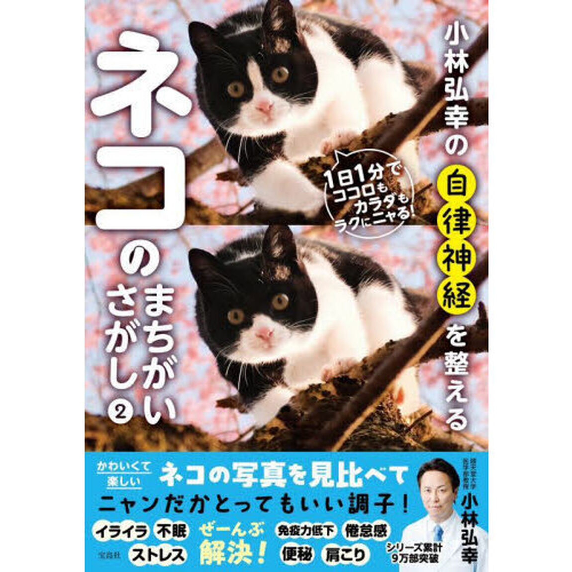 小林弘幸の自律神経を整えるネコのまちがいさがし　２