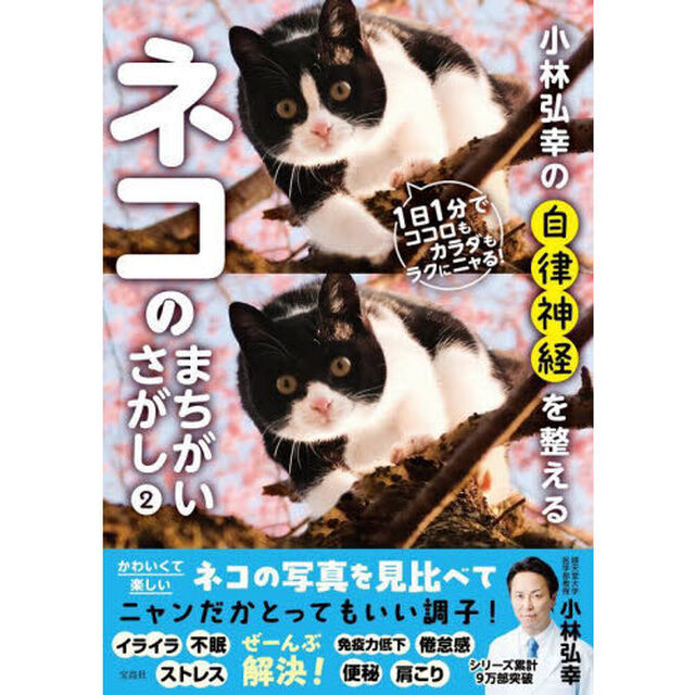 小林弘幸の自律神経を整えるネコのまちがいさがし　２