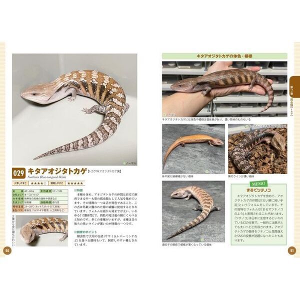 飼いたい種類が見つかる爬虫類・両生類図鑑 人気種から希少種まで厳選