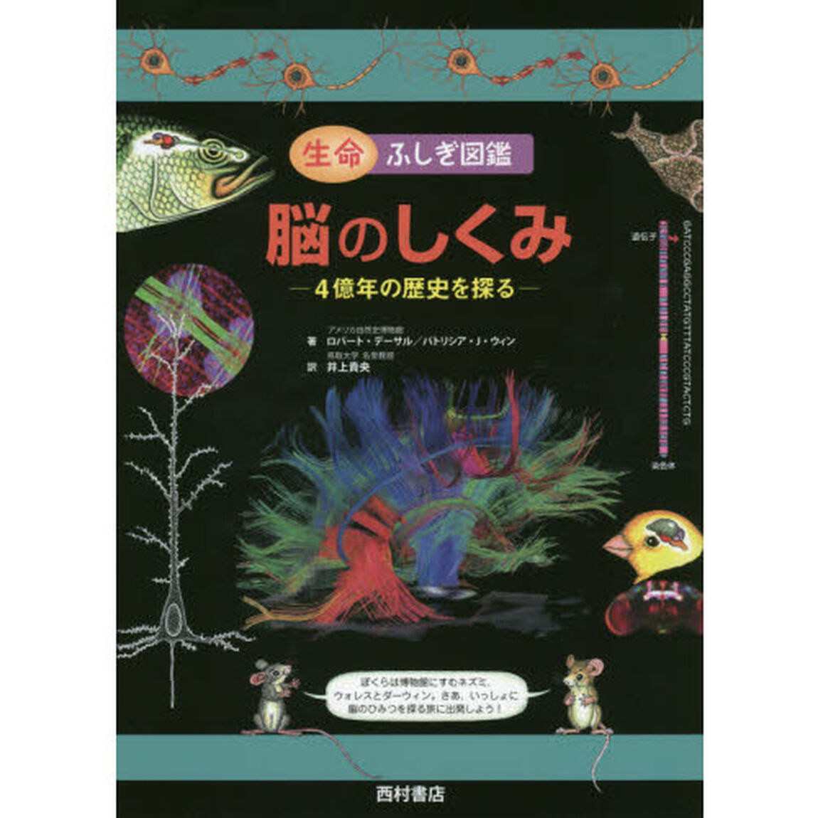 脳のしくみ　４億年の歴史を探る