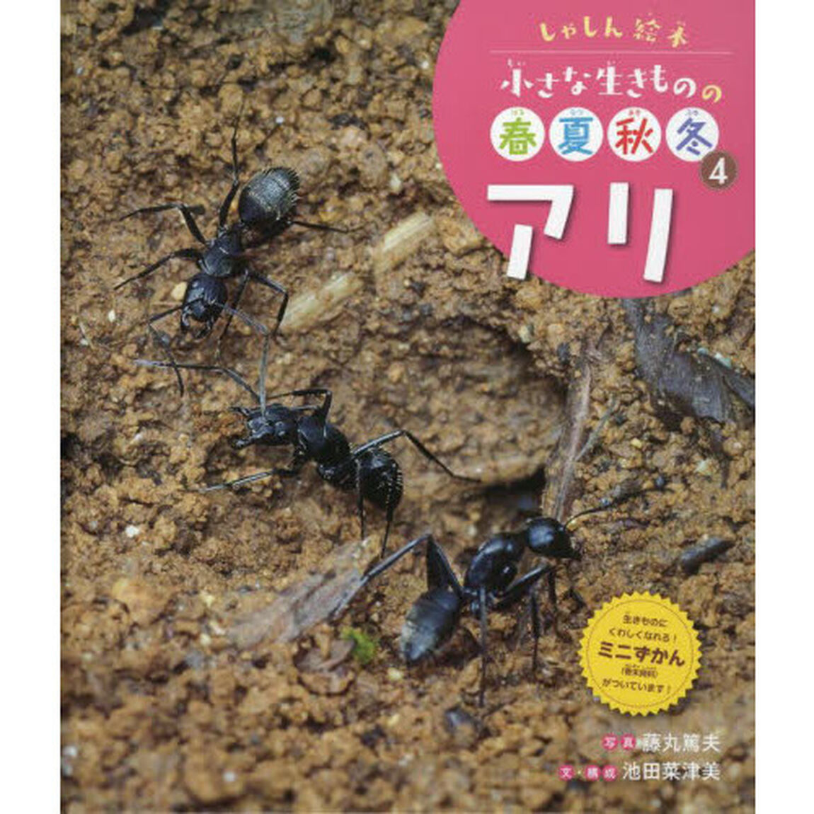 小さな生きものの春夏秋冬　しゃしん絵本　４「アリ」