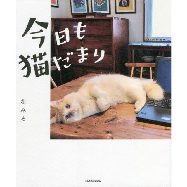 今日も猫だまり
