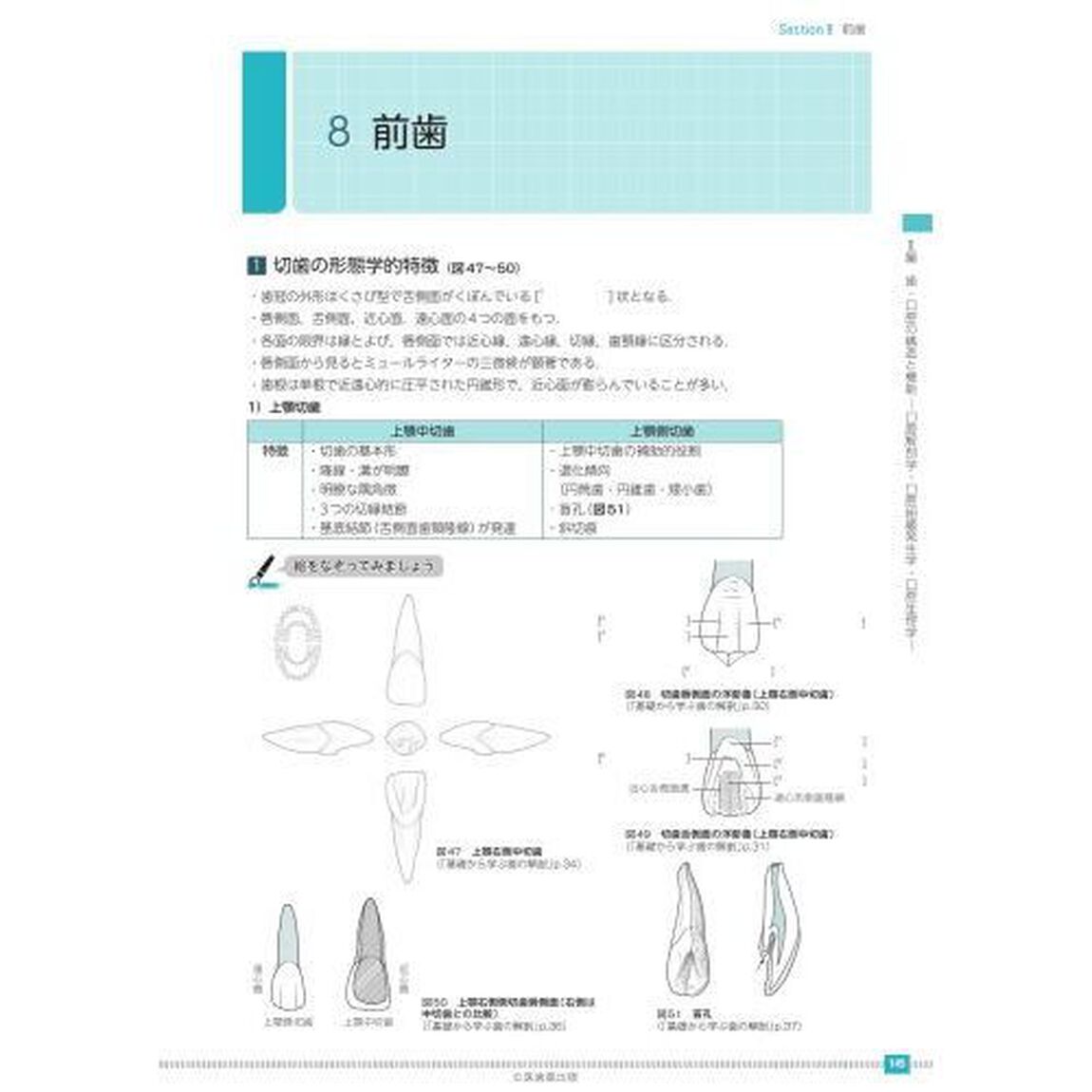歯科衛生士書き込み式学習ノート　２０２３年度１「専門基礎科目編　人体の構造と機能／歯・口腔の構造と機能／疾病の成り立ち及び回復過程の促進」