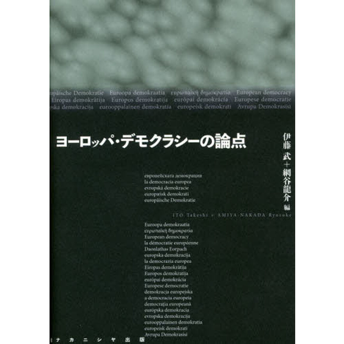 ヨーロッパ・デモクラシーの論点