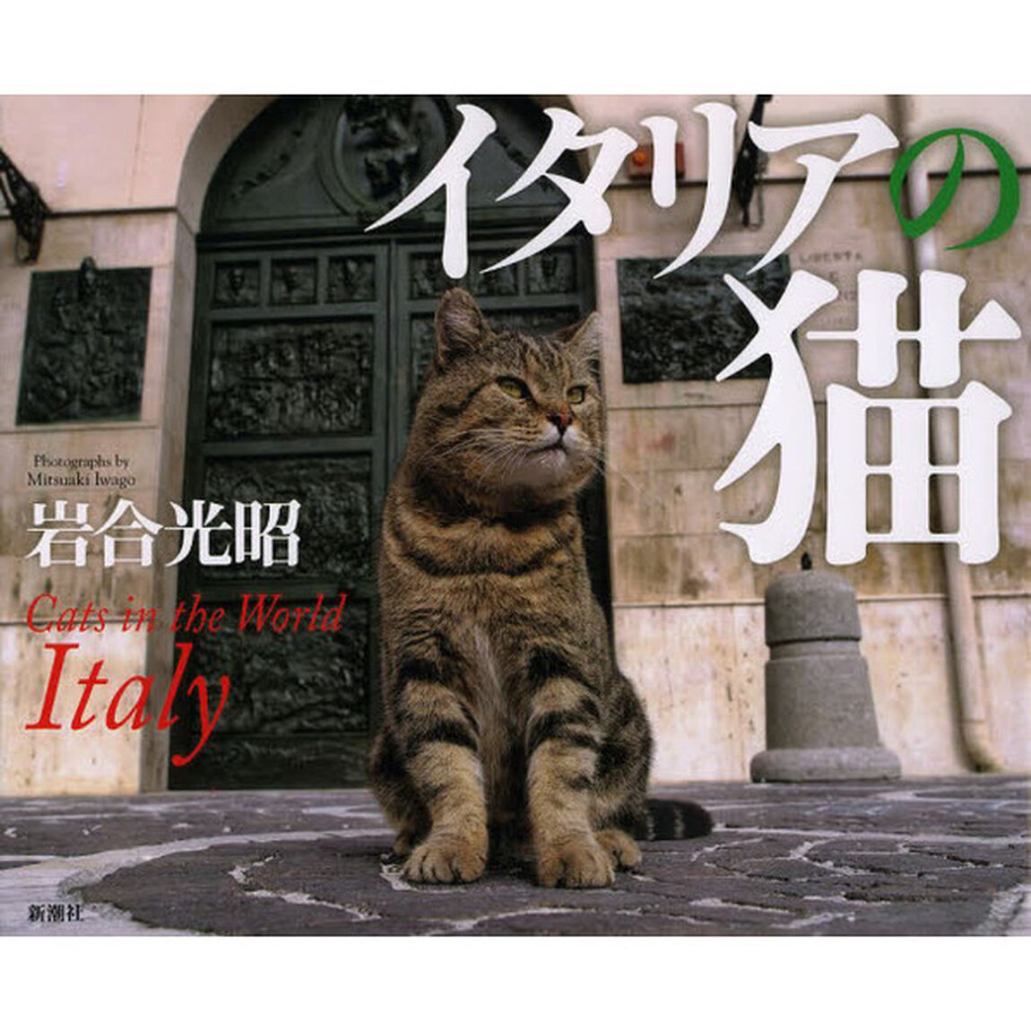 イタリアの猫