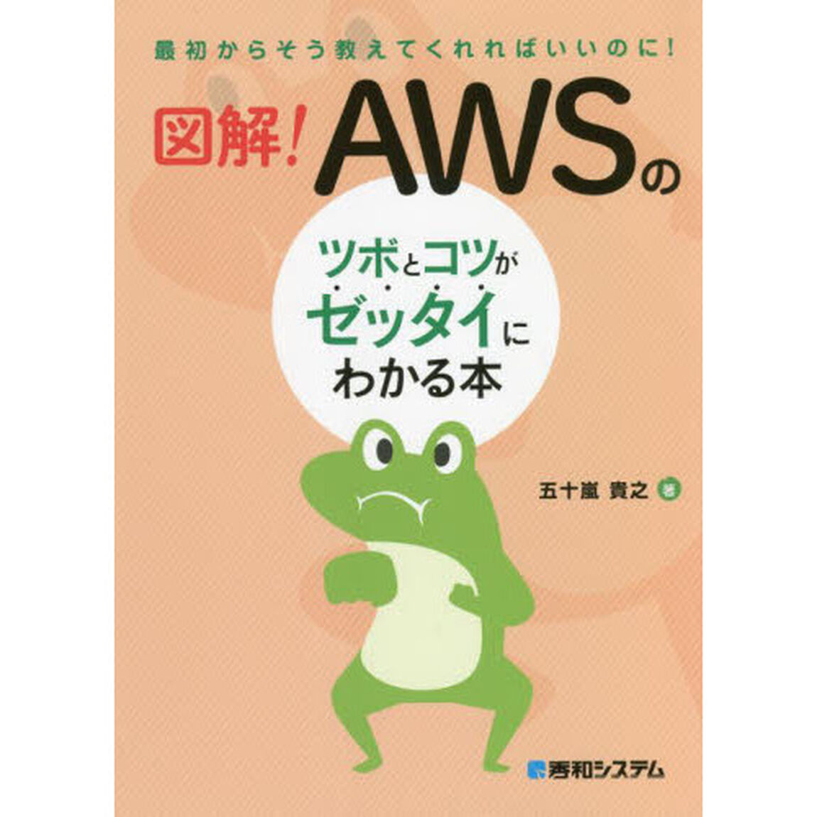 図解！ＡＷＳのツボとコツがゼッタイにわかる本