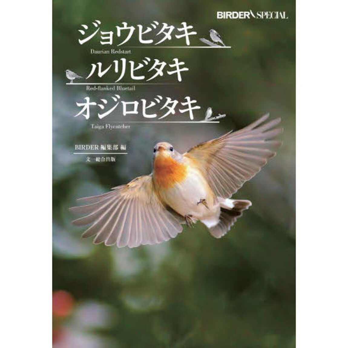 ジョウビタキ・ルリビタキ・オジロビタキ
