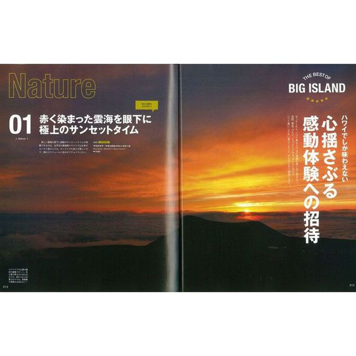 １冊丸ごとハワイ島　ビッグアイランドのすべてがわかる必携本！「決定版」