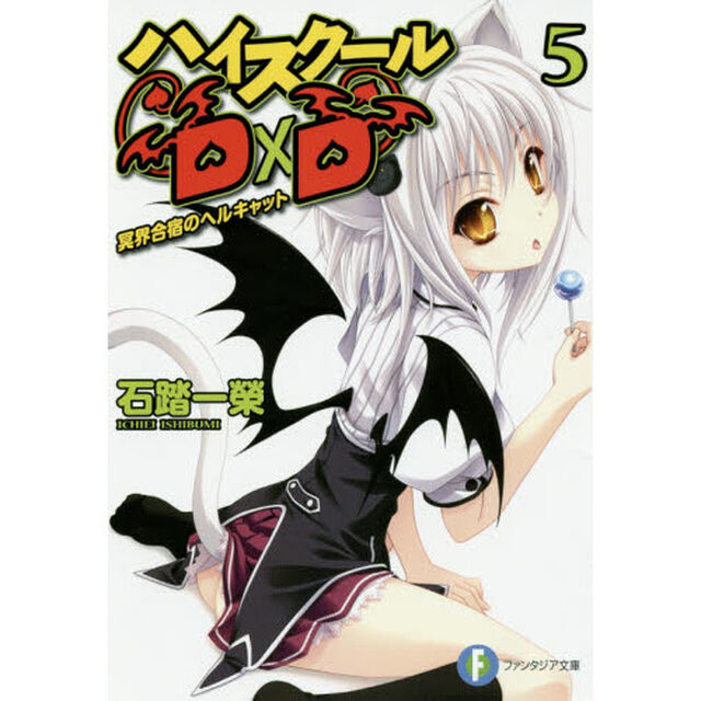 ハイスクールＤ&times;Ｄ　５「冥界合宿のヘルキャット」